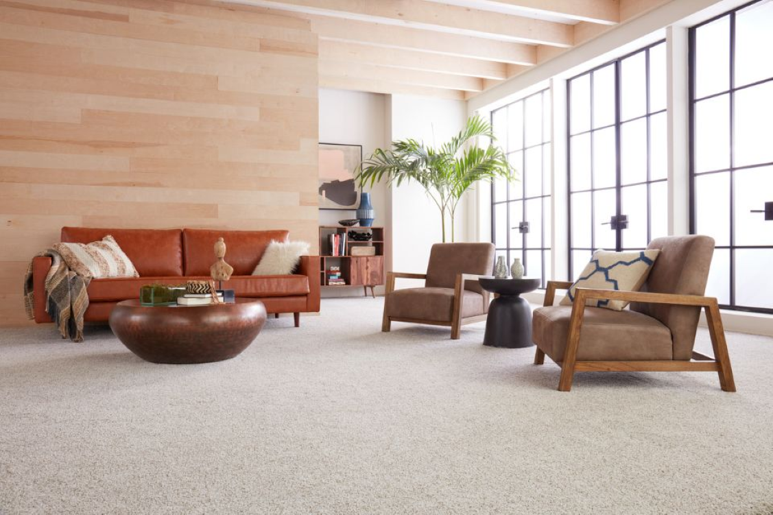Modern living room with Berber carpet