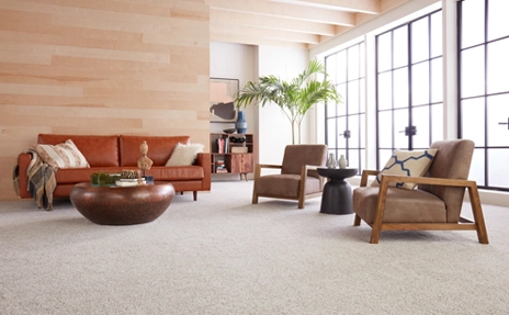 Modern living room with Berber carpet